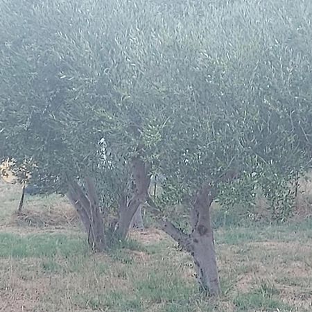 Вилла Principessa Telendos Kalymnos Town Экстерьер фото