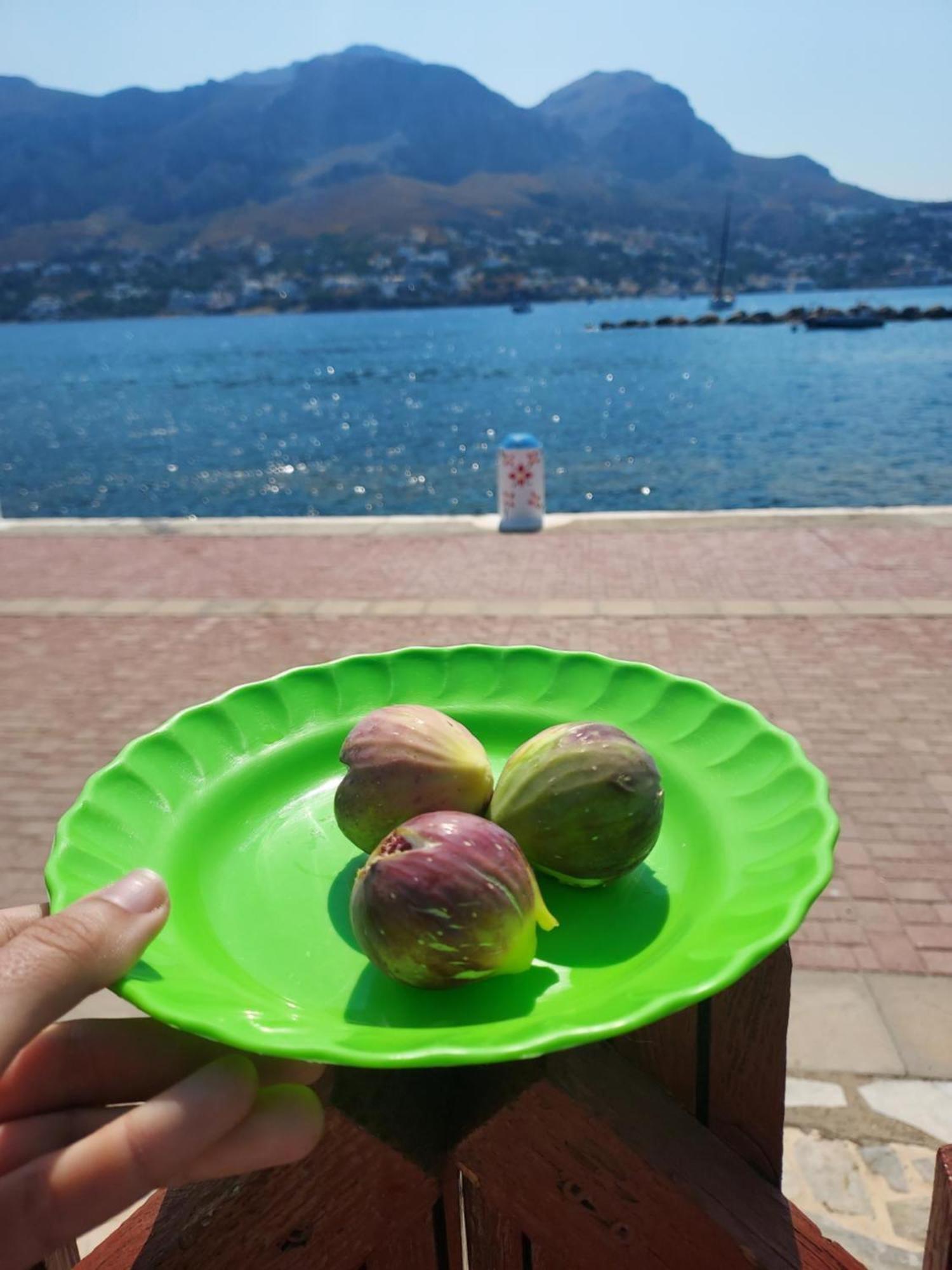 Вилла Principessa Telendos Kalymnos Town Экстерьер фото
